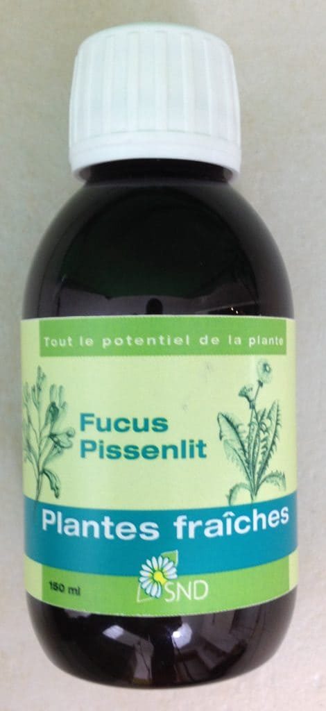 fucus-pissenlit-plantes-fraiches