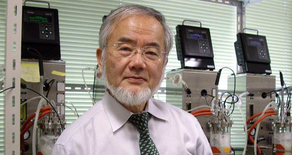 Les bienfaits de l'autophagie pour la santé - Yoshinori Ohsumi - Prix Nobel -
