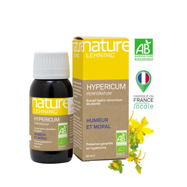 Hypericum