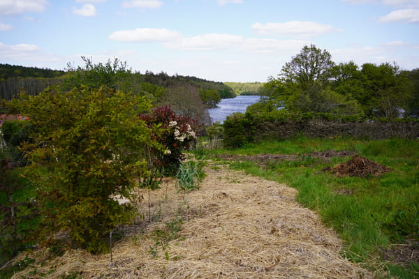 Vue sur le lac immersion en autonomie